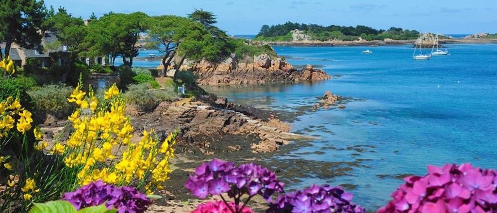 Manoir De Kertalg Hotel Moelan sur Mer Bagian luar foto